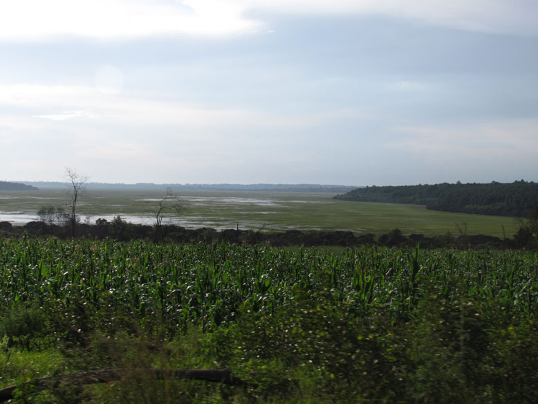 paisaje de la pista de montaña